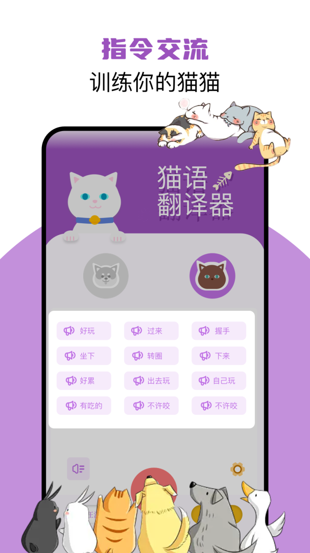 猫语翻译君