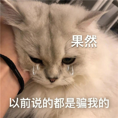 评论区聊天表情