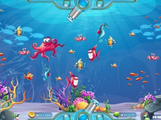 高清品质的扑鱼