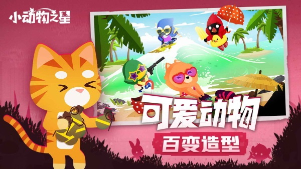 小动物之星体验服