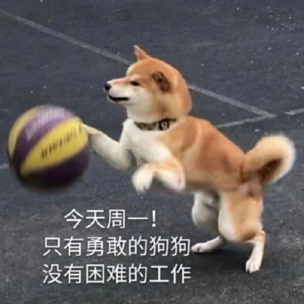 可爱狗狗头像一天一个的微信头像