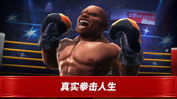 拳击之星