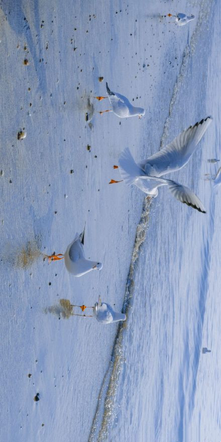 非常治愈好看的微信朋友圈背景图