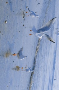 非常治愈好看的微信朋友圈背景图