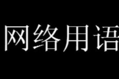 日龙包梗是什么意思详情