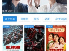 免费的蓝光4k追剧神器