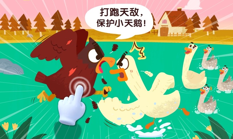 宝宝鸟类认知(启蒙教育)