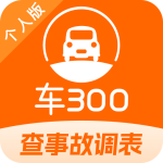 车300二手车