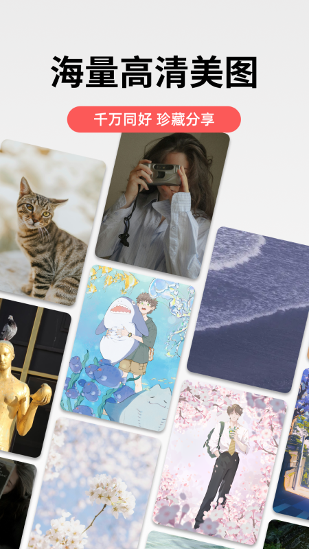 堆糖官方版
