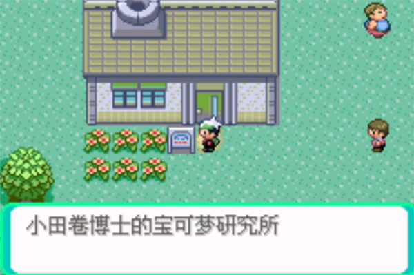 口袋妖怪传说绿宝石半明雷模式