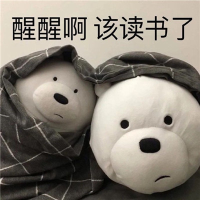 非常可爱的学习表情包