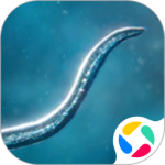 生物进化论(挑战任务)