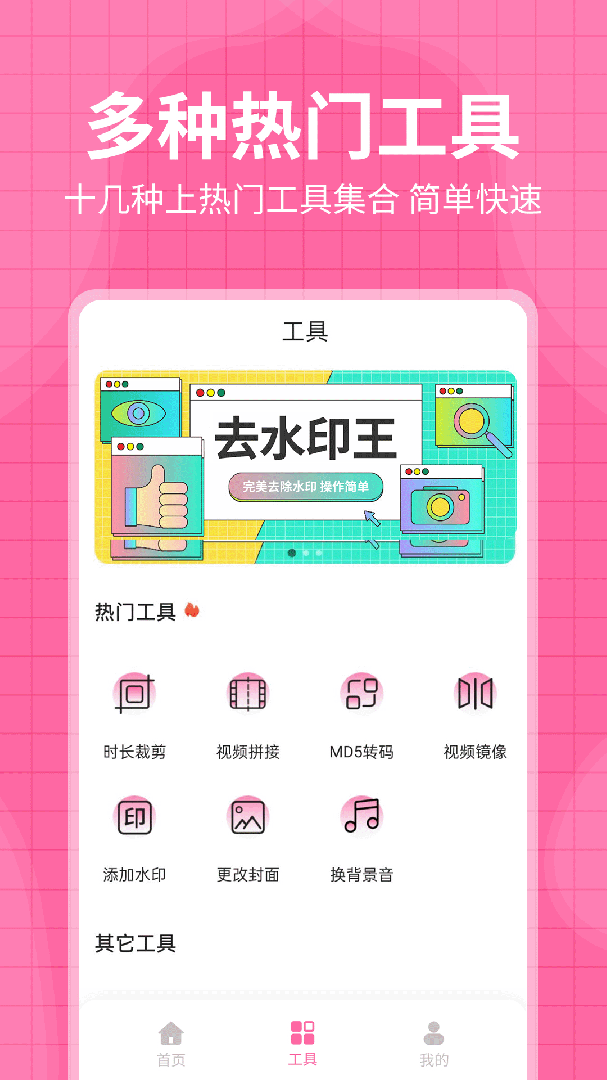 去水印王