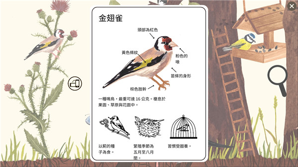 小棕鼠的自然生态百科(Little Mouses Encyclopedia)
