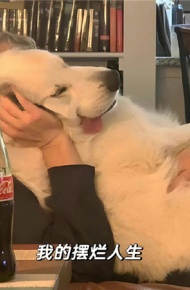 带有文案的好看背景图