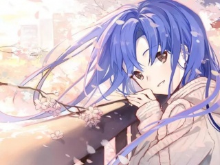 十款可以随意触摸猫娘的