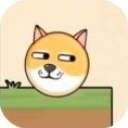 救救狗狗国际服