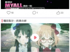 二次元多平台的