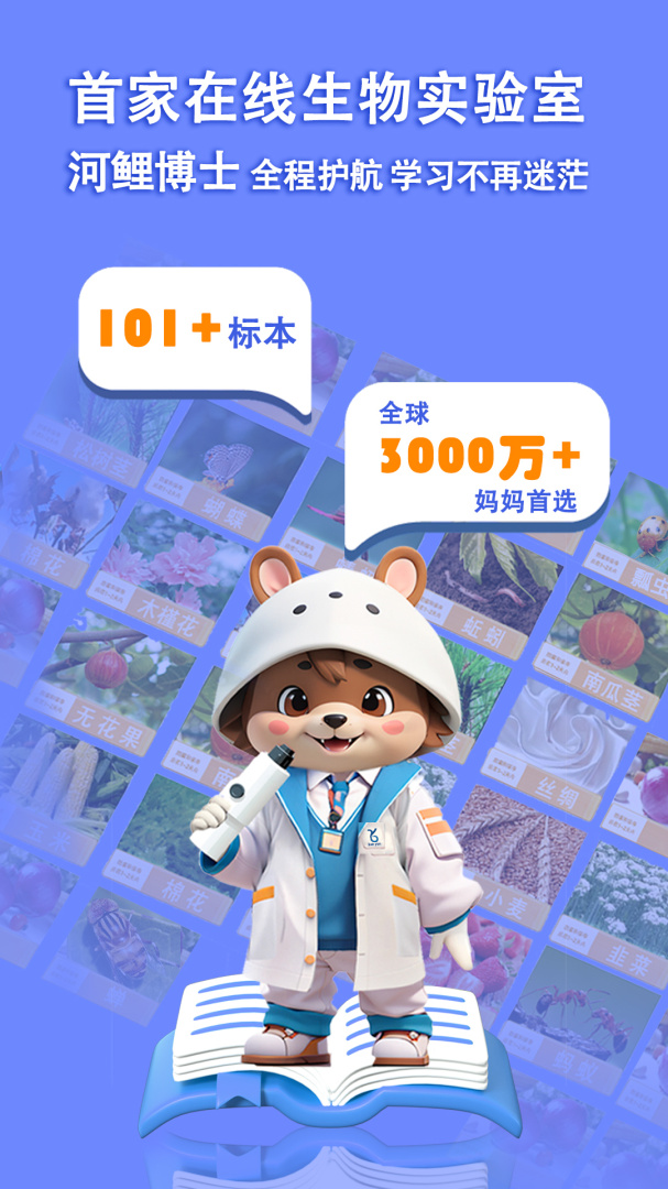 赫鲤