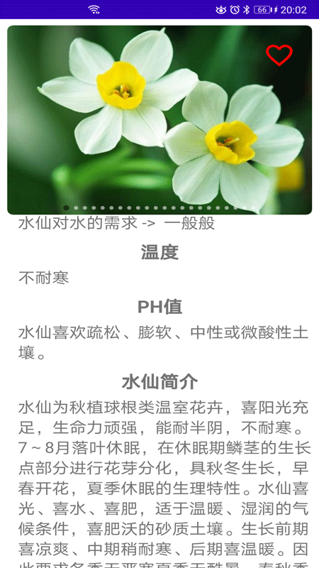 绿植花卉