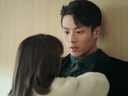 看全网免费短剧的手机软件