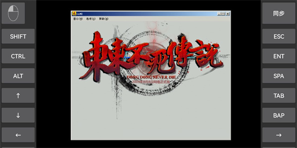 东东不死传说(附出招表)