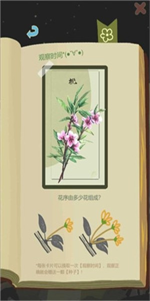 老农种树全部种子版