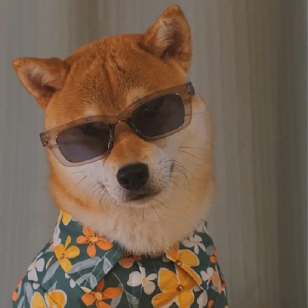 带墨镜的狗子帅气微信头像