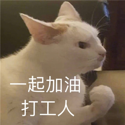 热门好笑又很欢乐的表情