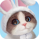 我和我的猫复古版