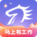 百城招聘