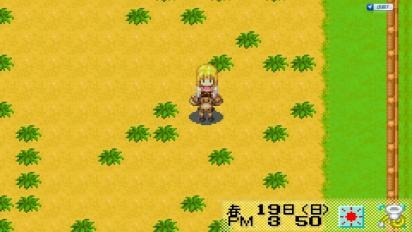 牧场物语矿石镇的伙伴们(牧场经营)