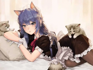 一键速配新朋友的社交交友