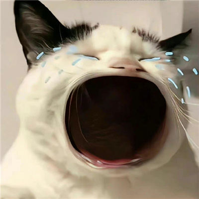 有趣超可爱的情头