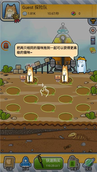 懒洋洋的宝藏猫