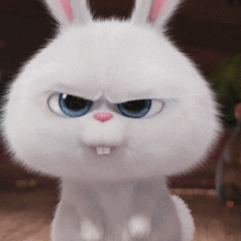 《爱宠大机密》小白兔动态微信表情包