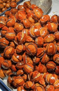 抖音很火的入冬九件套图片