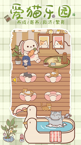 喵呜开门红包版