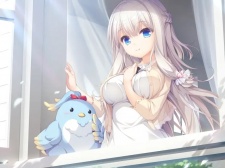 可以随意触摸猫娘的