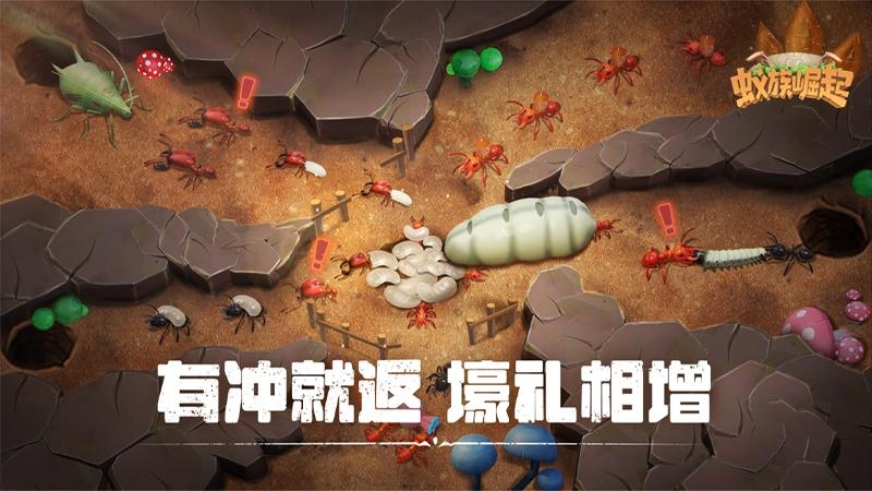 蚁族崛起折扣版