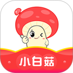 小白菇