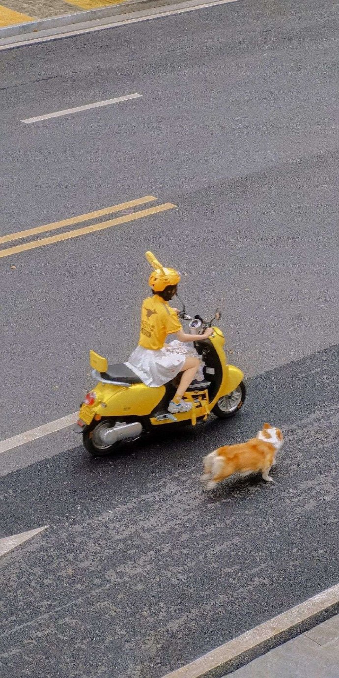 优质好看的个性微信头像