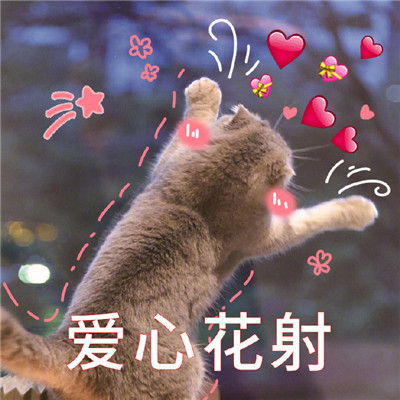 搞笑的微信表情包