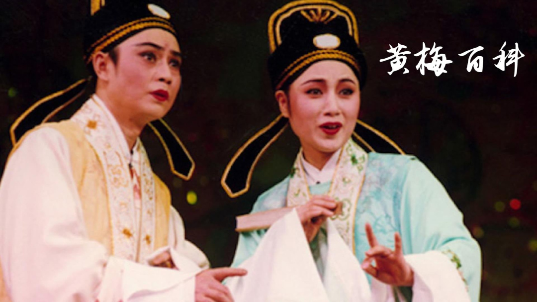 黄梅迷