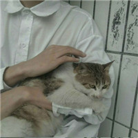 干净清新男生头像