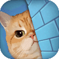 橘猫侦探社内购版