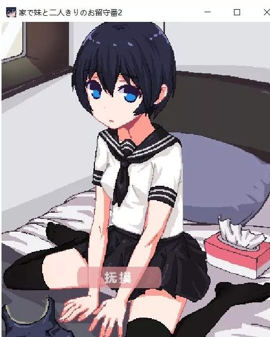 和妹妹两个人看家2纸巾盒版