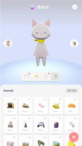 亲爱的我的猫咪