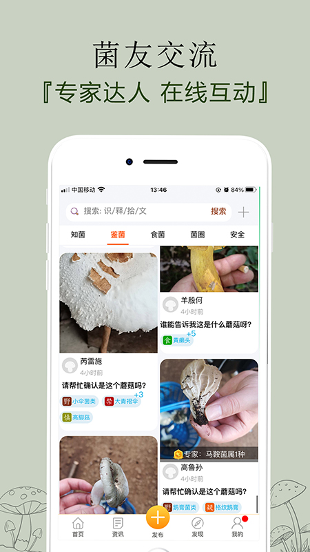 菌窝子拍照识菌