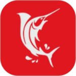 易快(网络购物)